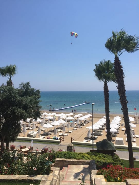 Strand Arum Barut Collection