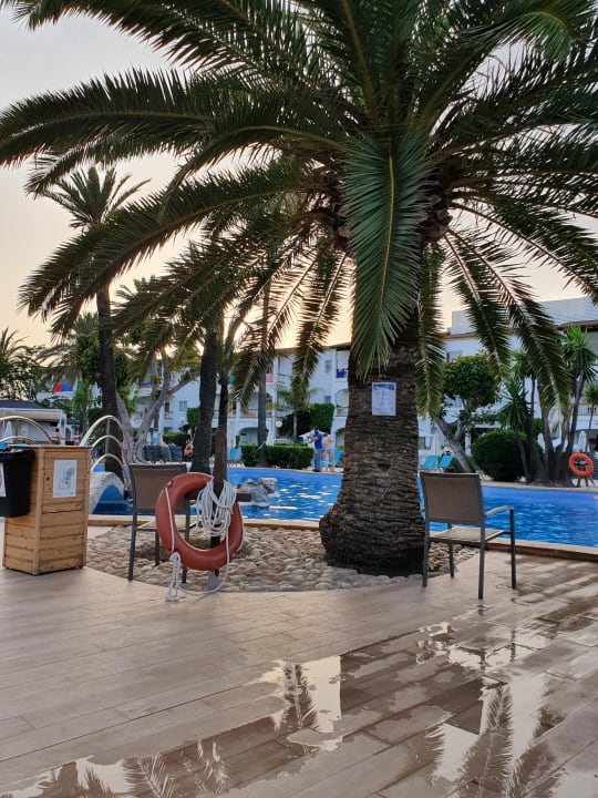 Pool Alcudia Garden Aparthotel