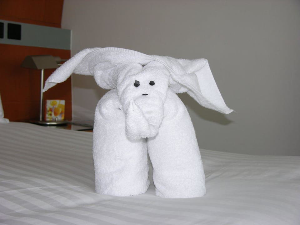 Haustier im Hilton Golden Sands Hotel Creek