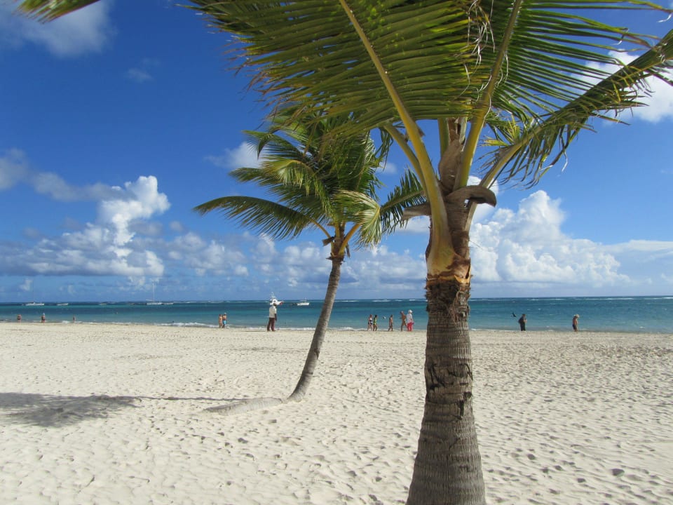 Strand  Secrets Royal Beach Punta Cana - Adults only