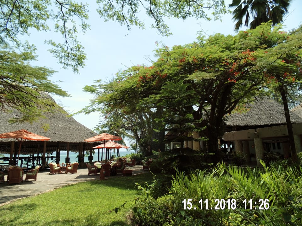 Gartenanlage Baobab Beach Resort & Spa