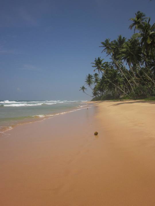 Auch hier von links Hotel Haus am Meer Wilde Ananas