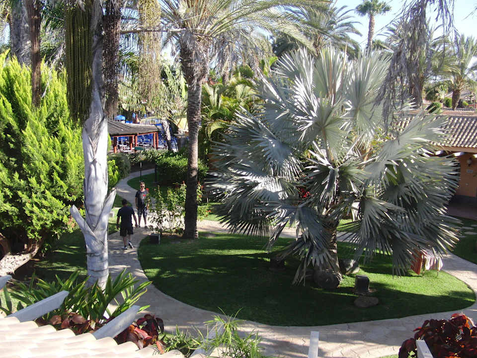 Gartenanlage der Ringbungalows Suites & Villas by Dunas