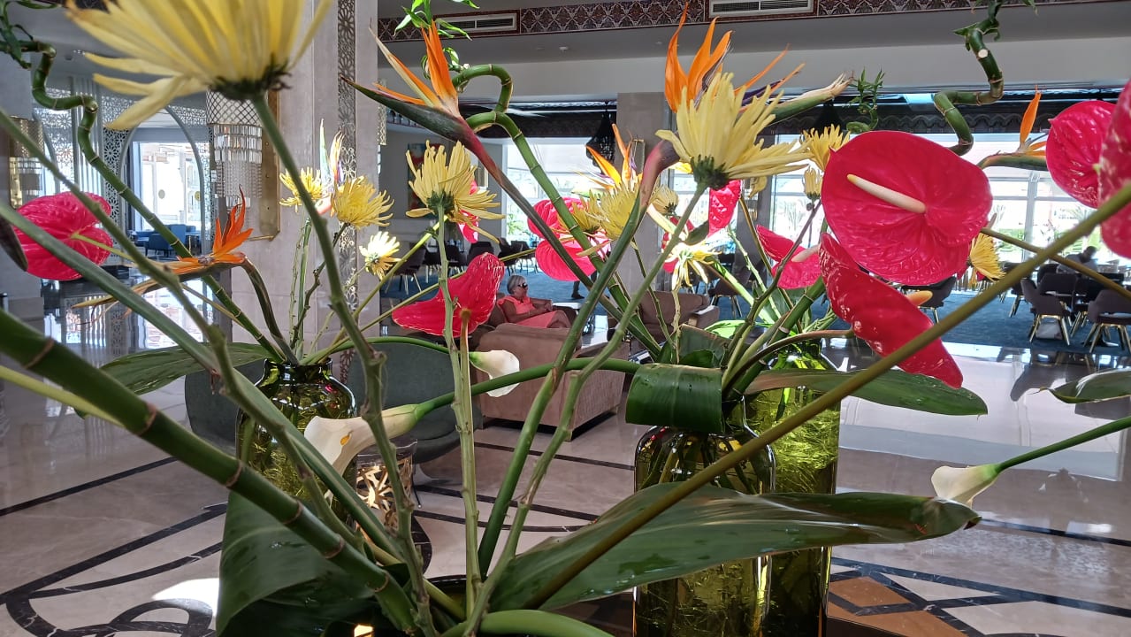 Lobby Pickalbatros Dana Beach Resort - Hurghada