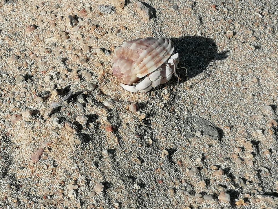 Strand Three Corners Sea Beach Resort