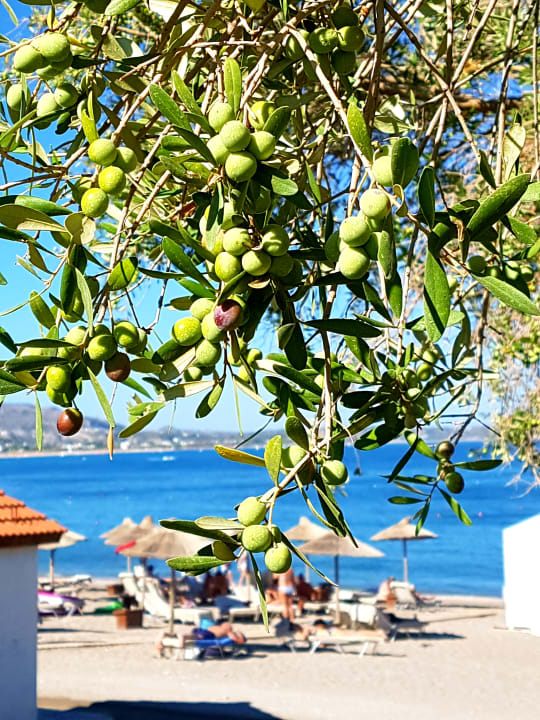 Strand SENTIDO Port Royal Villas & Spa