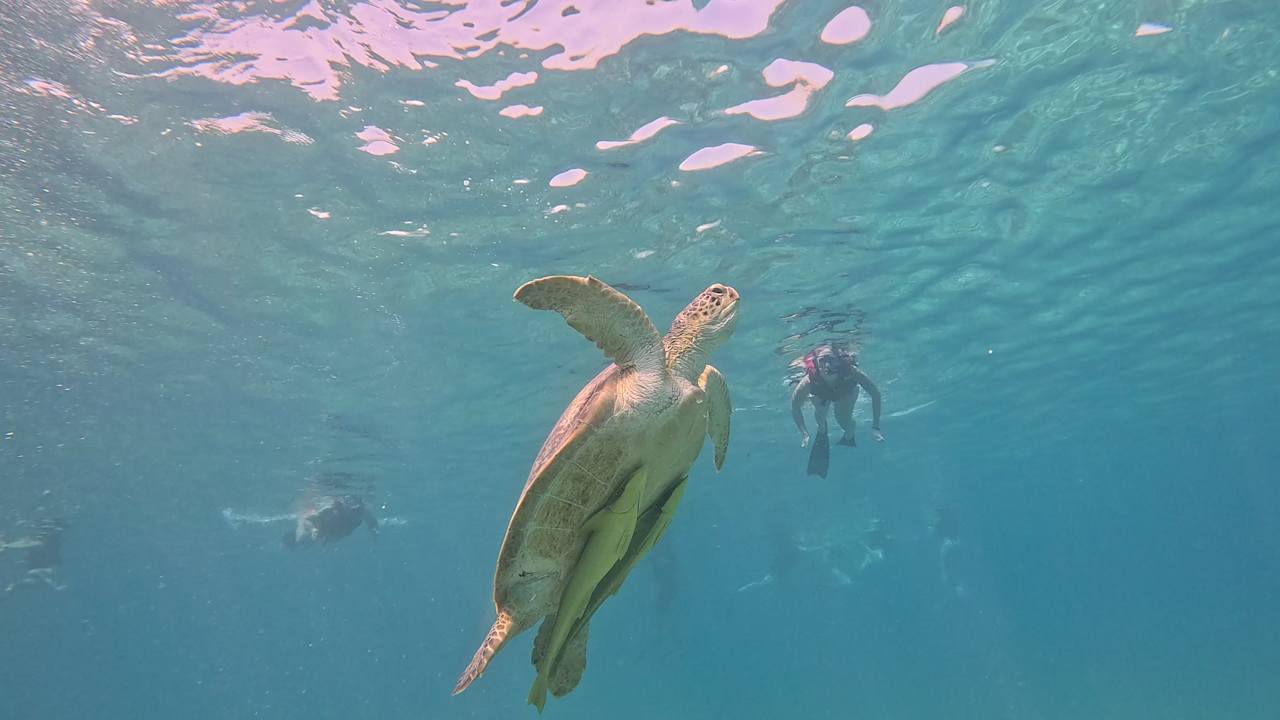 Strand Lazuli Hotel Marsa Alam
