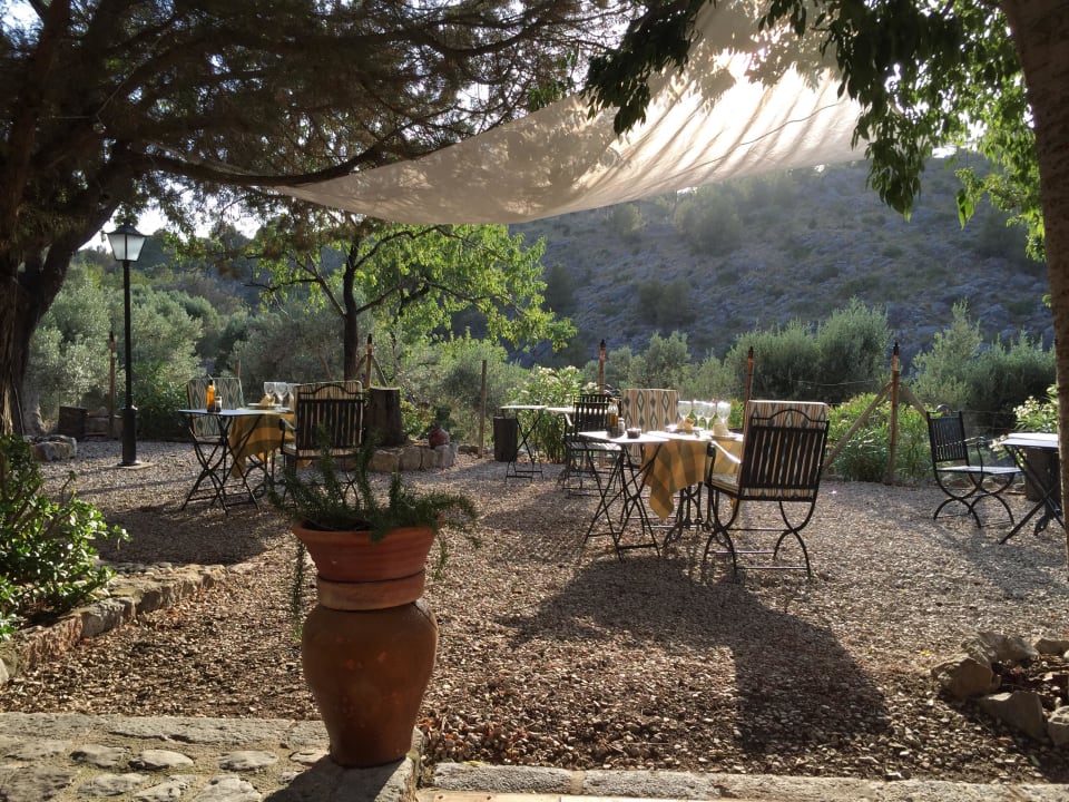 Platz vorm Haus Finca Muleta de Ca S'Hereu