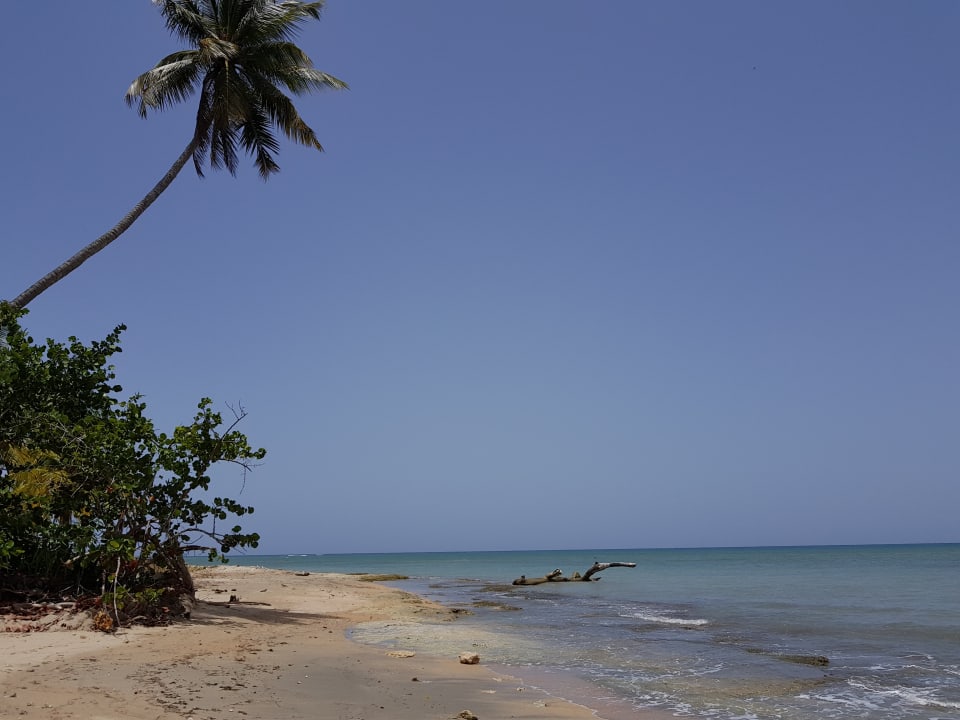 Strand in naher Entfernung Bahia Principe Luxury Bouganville