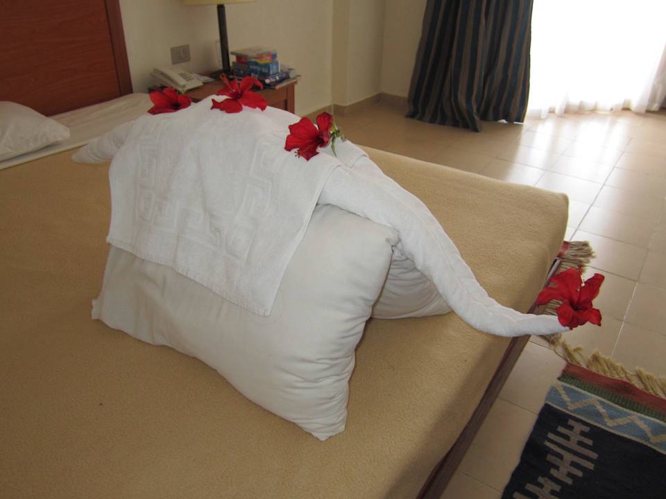 Handtuchkunst Kamel Le Jardin Aqua Park Resort