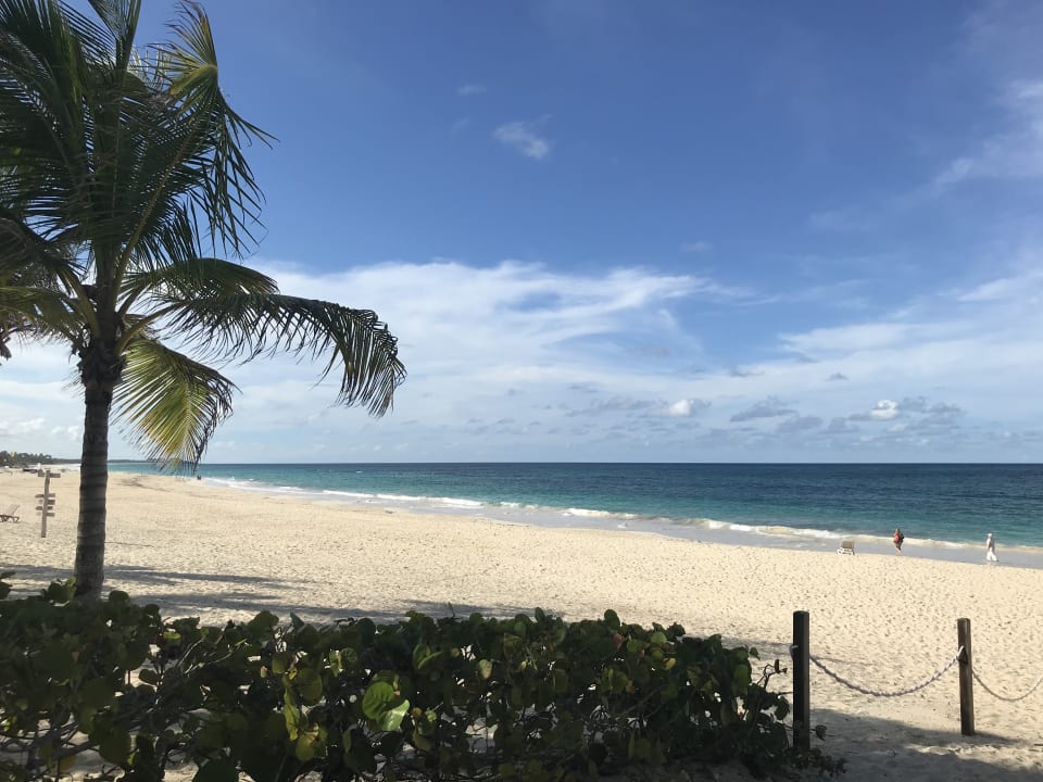 Strand Hotel Riu Republica - Adults only