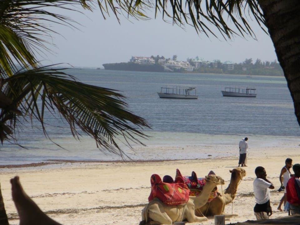 Der Strand Hotel Traveller's Club