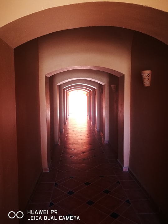 Gartenanlage Jaz Makadi Oasis Resort