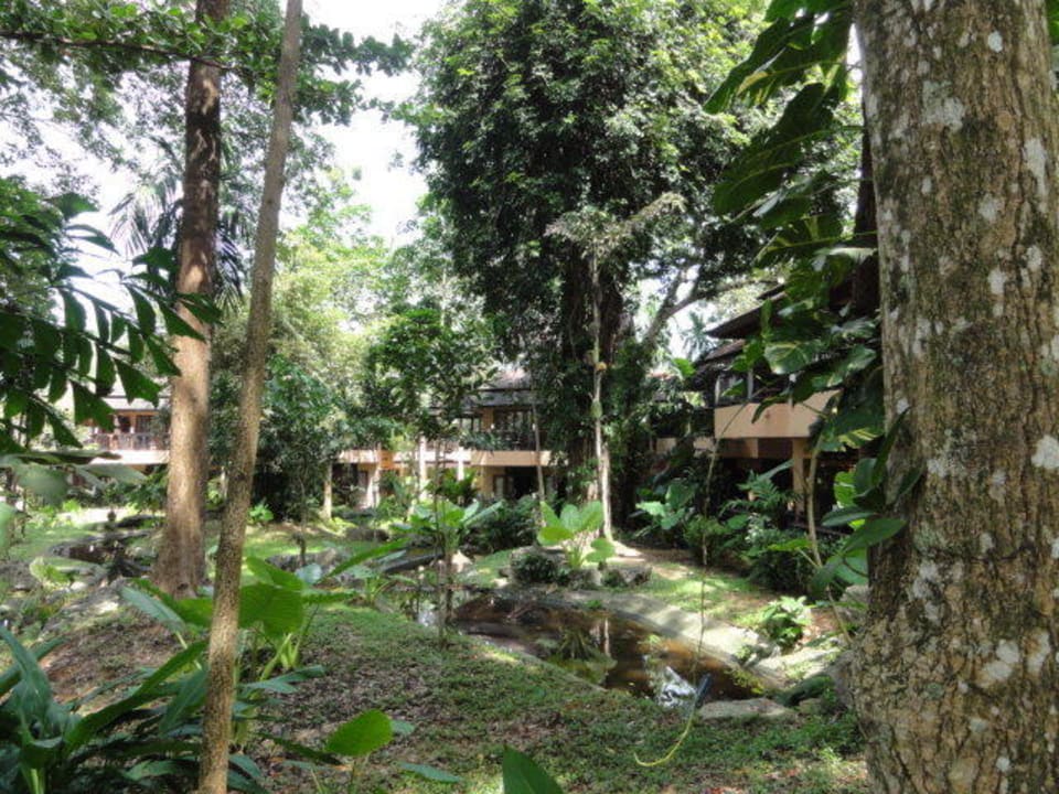 Blick in den Garten  Khao Lak Merlin Resort