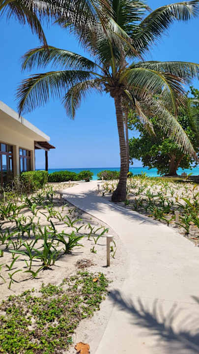 Gartenanlage Akumal Bay Beach & Wellness Resort