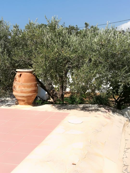 Gartenanlage Coriva Beach Hotel & Bungalows