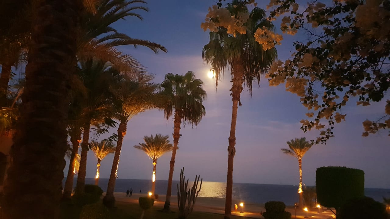 Ausblick Steigenberger Coraya Beach - Adults only