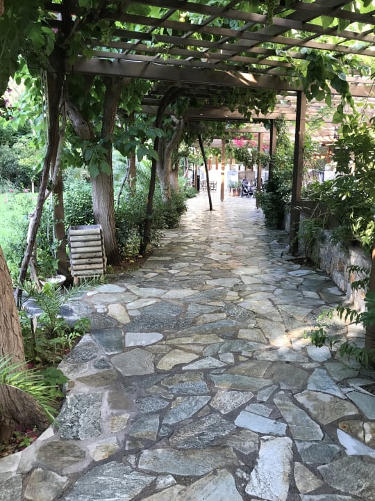 Gartenanlage Apollonia Beach Resort & Spa