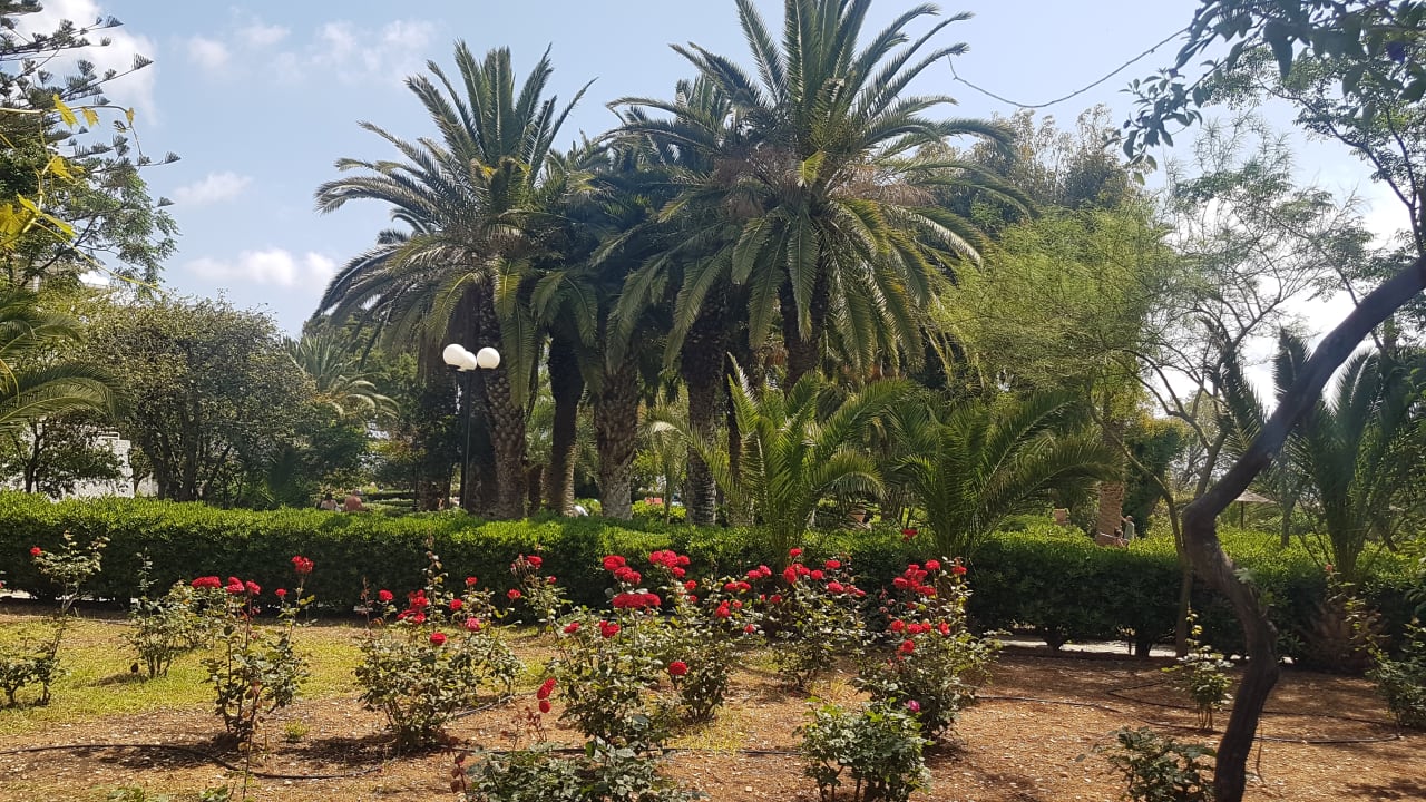 Gartenanlage Apollonia Beach Resort & Spa