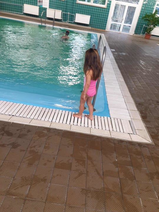 Pool AHORN Berghotel Friedrichroda