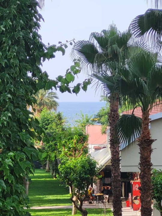 Gartenanlage Hotel Gardenia Beach