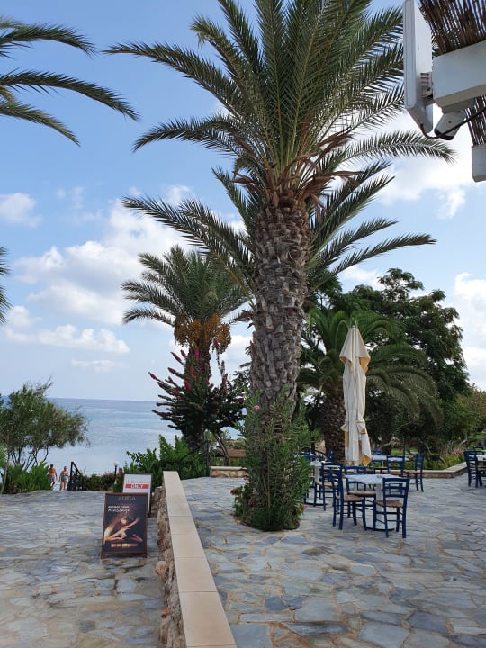 Außenansicht Crystal Springs Beach Hotel