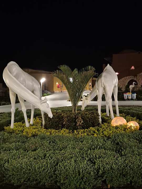 Gartenanlage Pickalbatros Vita Resort - Portofino Marsa Alam