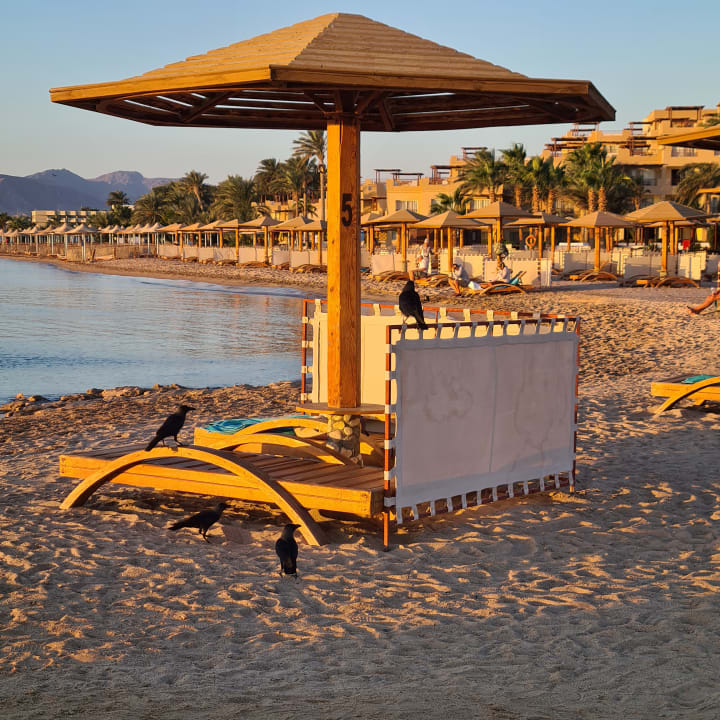 Strand Shams Prestige Abu Soma-Adults Only