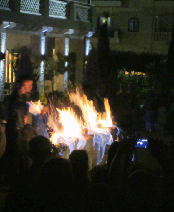 Flambiertes Eis Cactus Royal