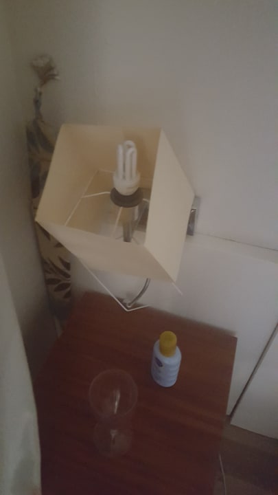 Zimmer Greenwood Kemer Resort