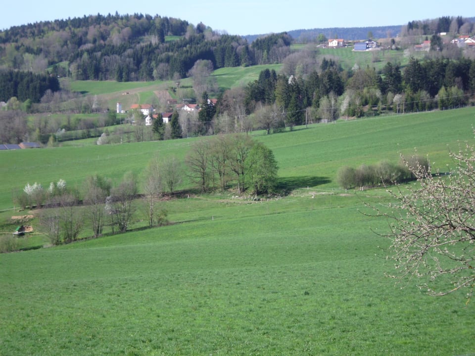 Blick vom Hof ins Tal Frongahof Eckerl Böhmzwiesel