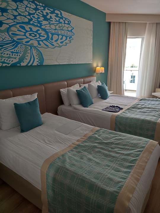 Zimmer Seashell Resort
