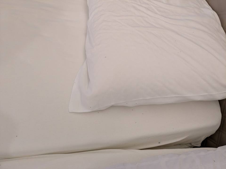 Zimmer Baumgartner's Blumenhotel