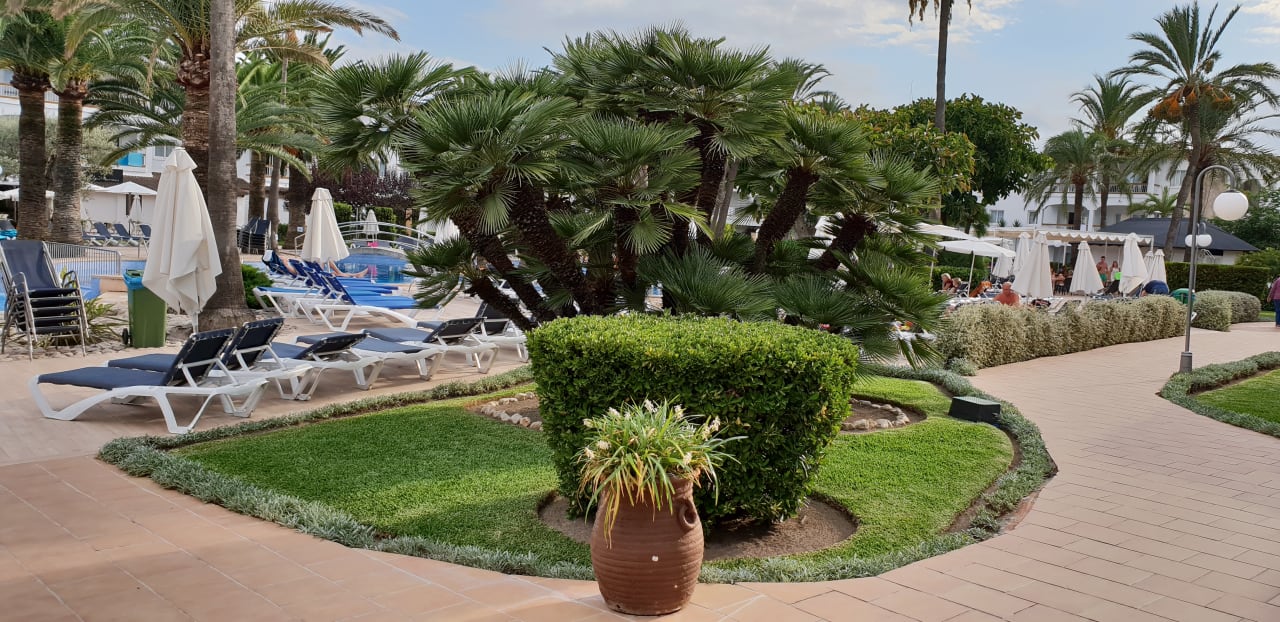 Gartenanlage Alcudia Garden Aparthotel