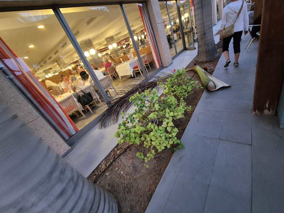 Gartenanlage SBH Hotel Taro Beach