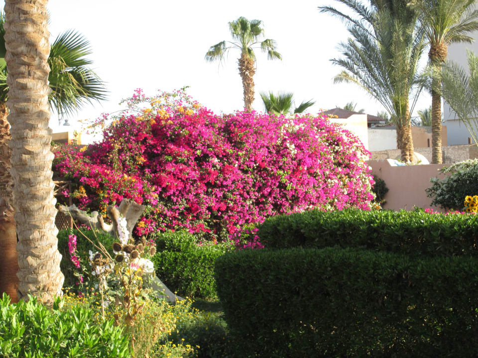 Gartenanlage Giftun Azur Resort