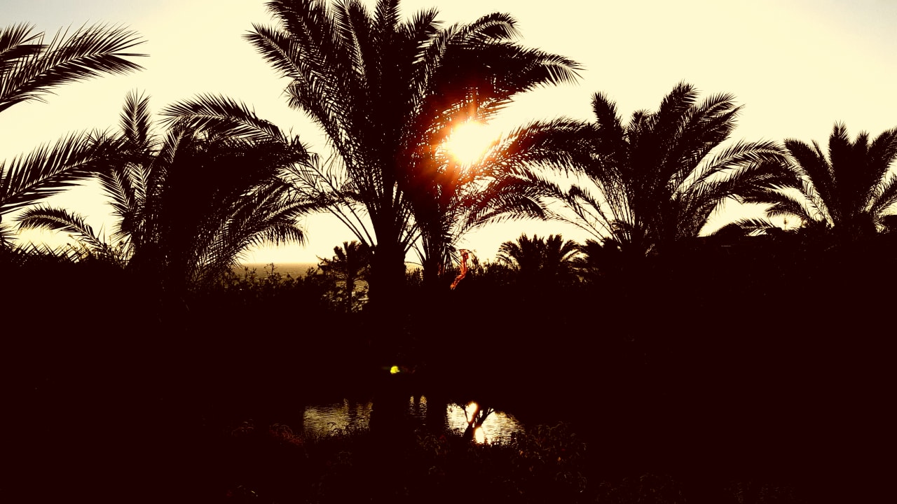 Ausblick TUI MAGIC LIFE Kalawy