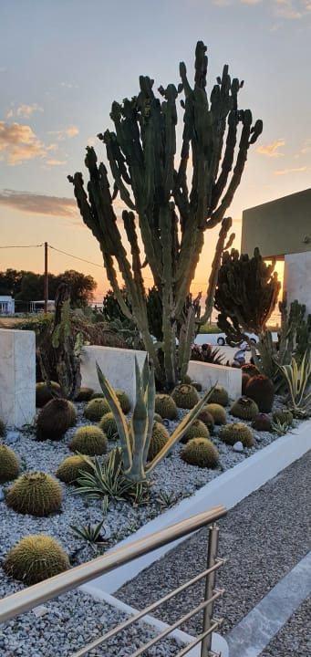 Gartenanlage Hotel Kos Palace