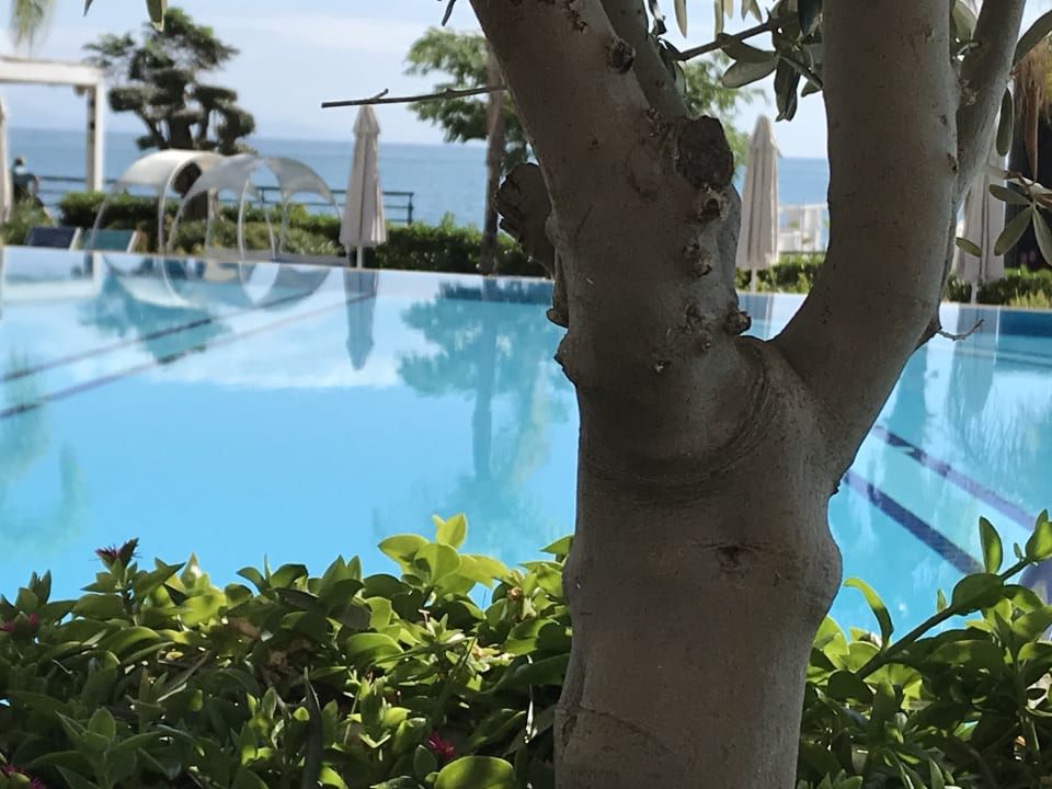 Pool Mary Hotel Alanya