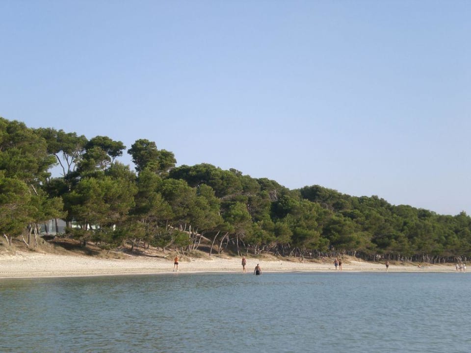 Strandabschnitt Aparthotel Ivory Playa