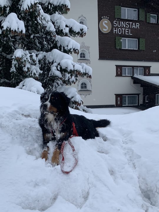 Außenansicht Sunstar Hotel Klosters
