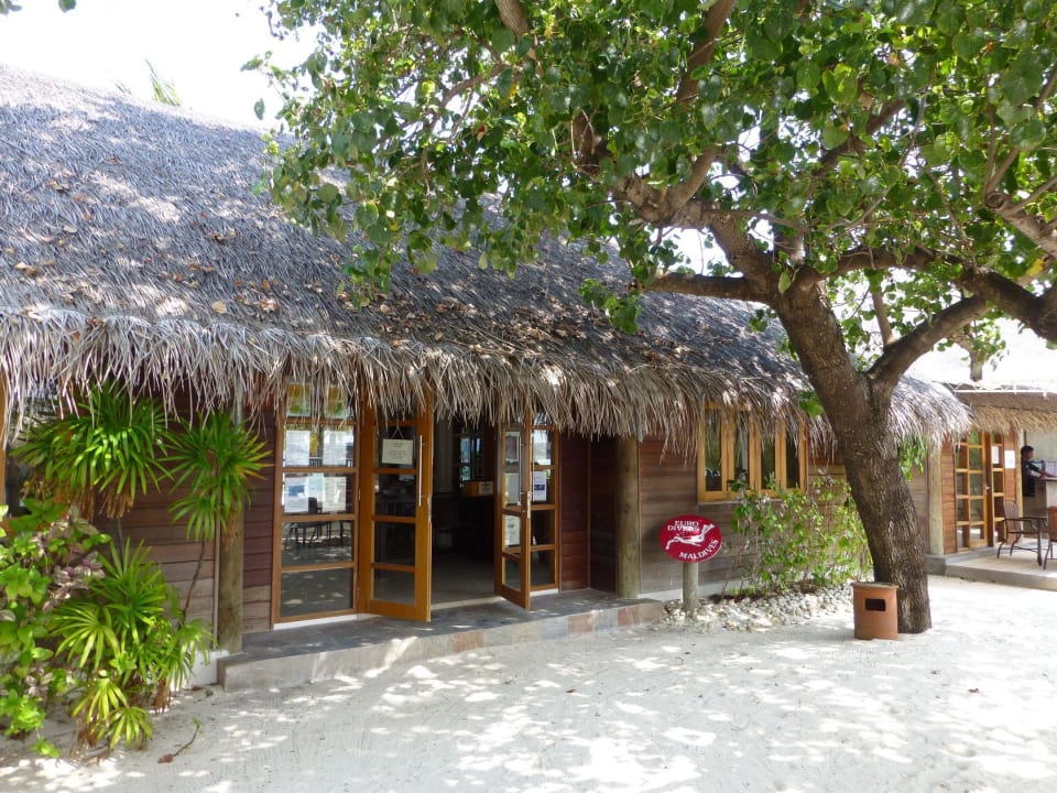 Tauchbasis LUX South Ari Atoll