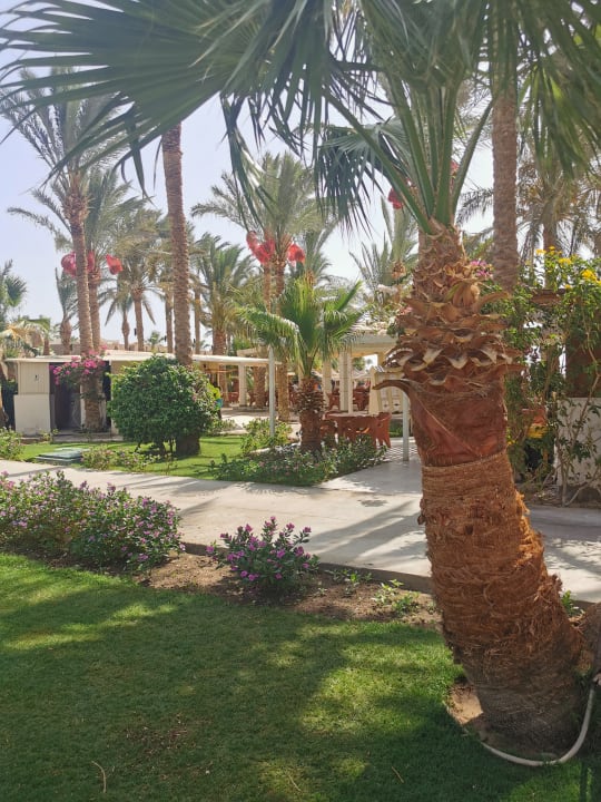 Sonstiges Brayka Bay Resort