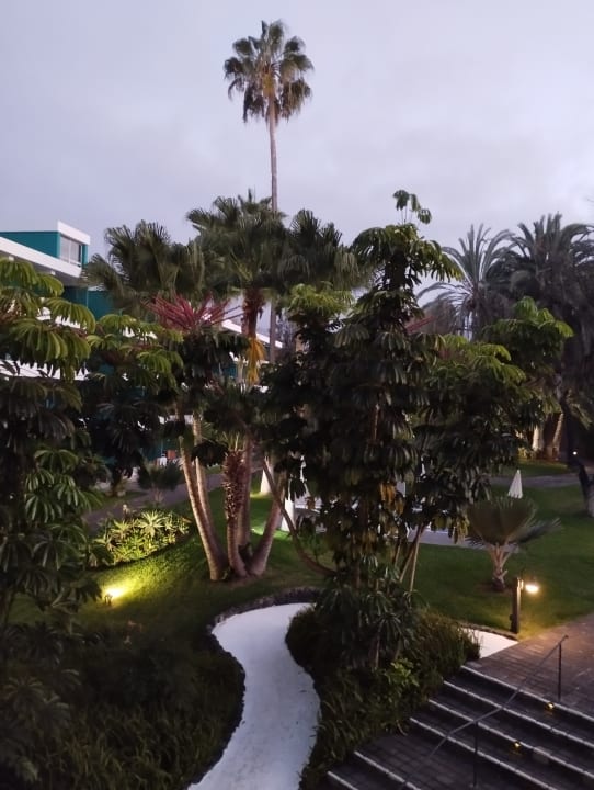 Gartenanlage TRH Taoro Garden