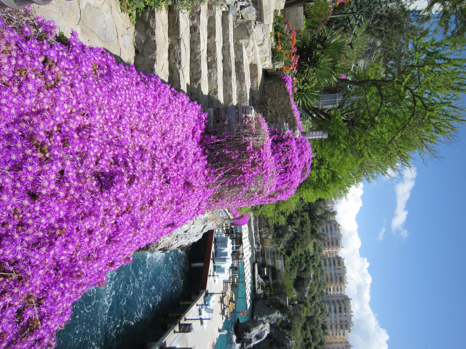 Blumenmeer Korumar Hotel De Luxe