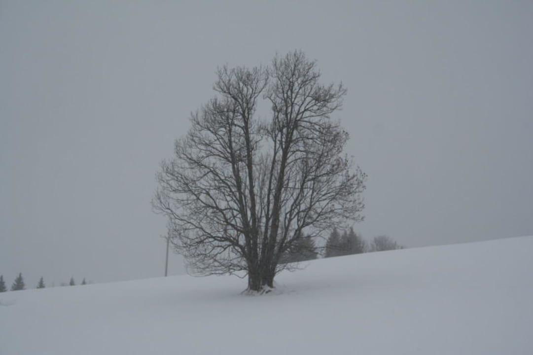 Ausblick aus dem Zimmer  Berghotel Tirol