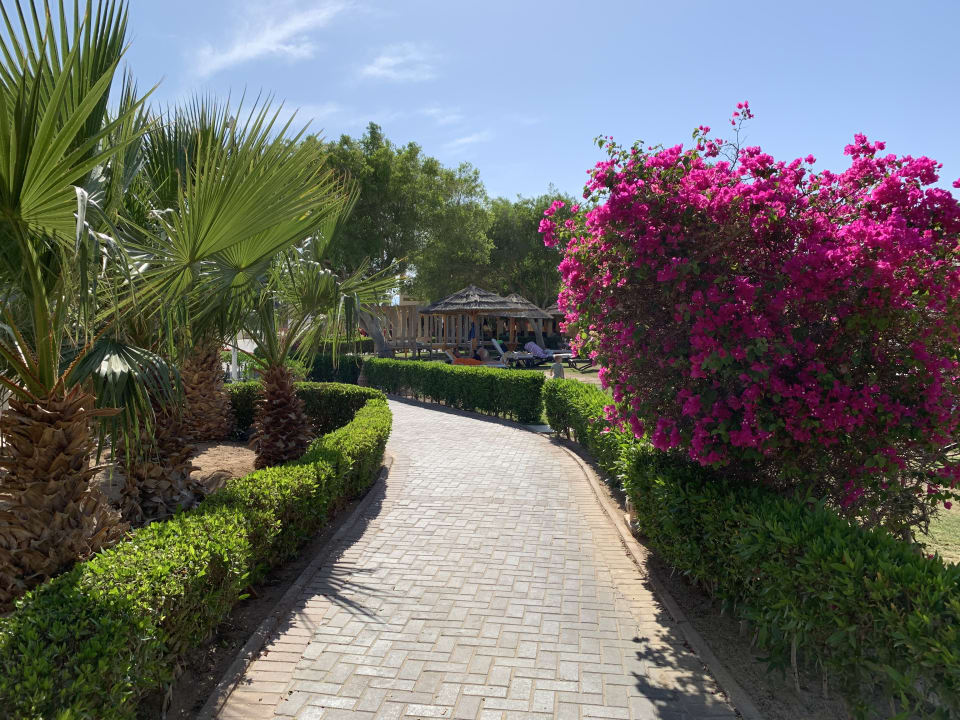 Gartenanlage ROBINSON SOMA BAY