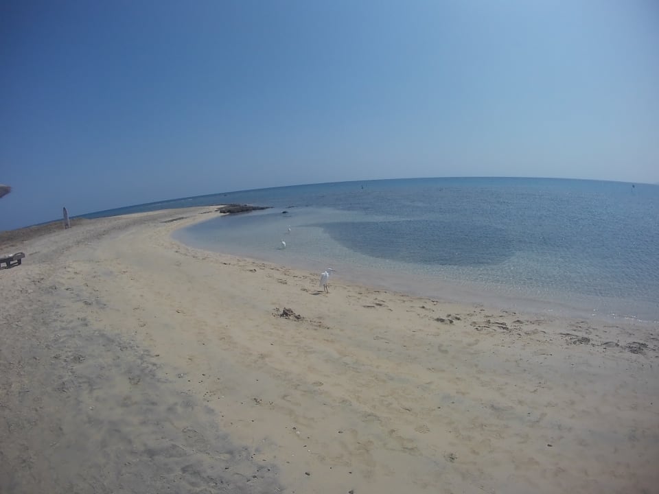 Strand Shams Alam Beach Resort