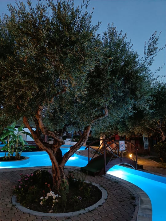 Pool TUI KIDS CLUB Alex Beach