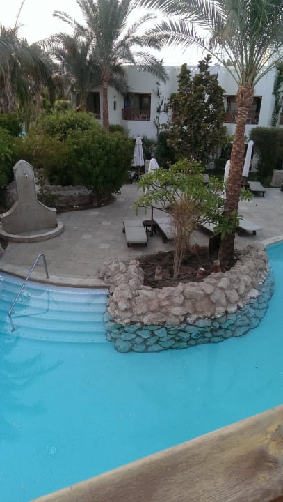 Ausblick aus Junior-Suite Ghazala Gardens